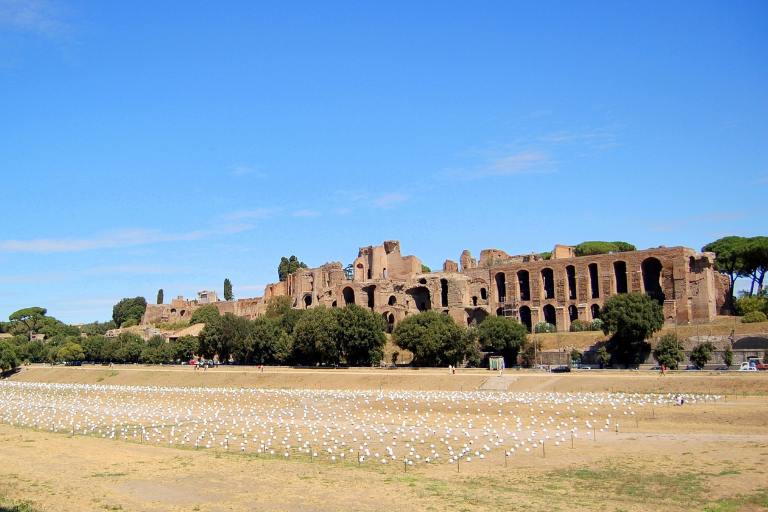 a field of white flowers in what was once circus maximus