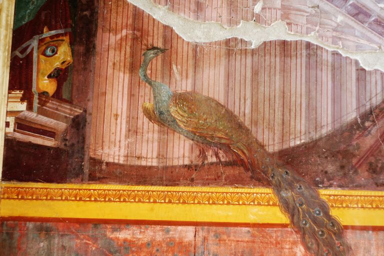 fresco from oplontis